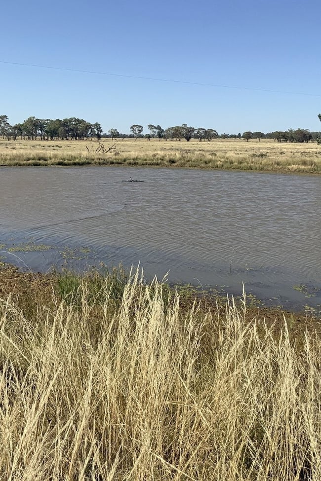 703 Yethera Road Tullamore NSW 2874