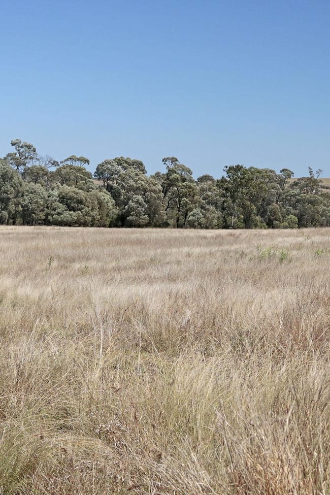 448 Cattle Creek Road Mundubbera QLD 4626