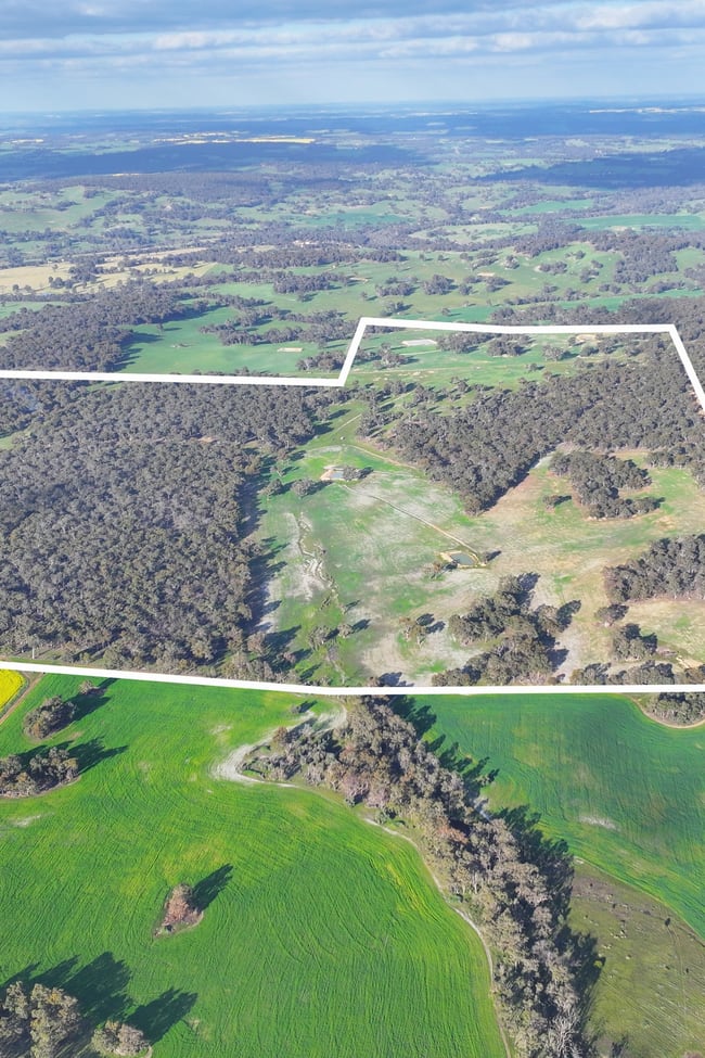 1705 Gibbs Road Trigwell WA 6244