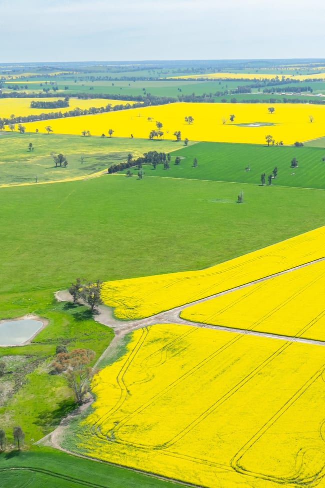 596 Gum Swamp Road Balldale NSW 2646