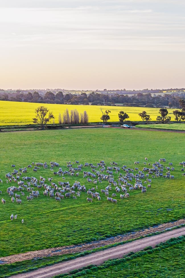 712 View Range Road Kendenup WA 6323