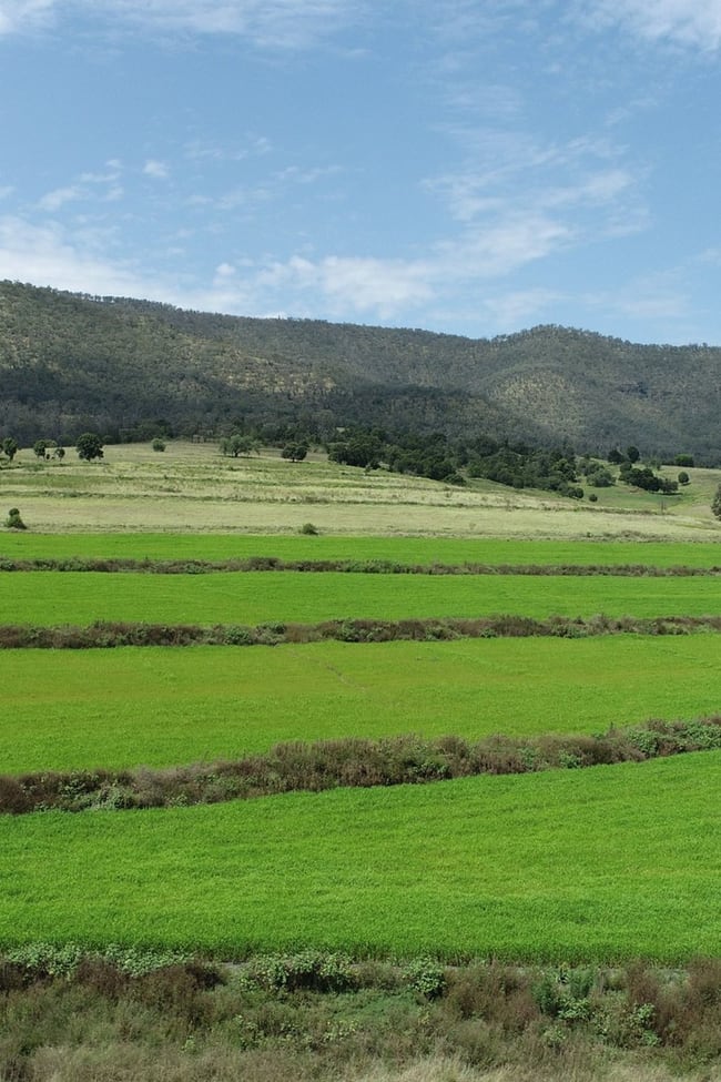 Lot 1 874 Top Swanfels Road Swanfels QLD 4371