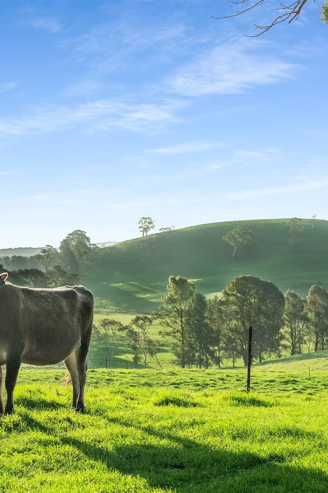 790 Kangaloon Road Glenquarry NSW 2576