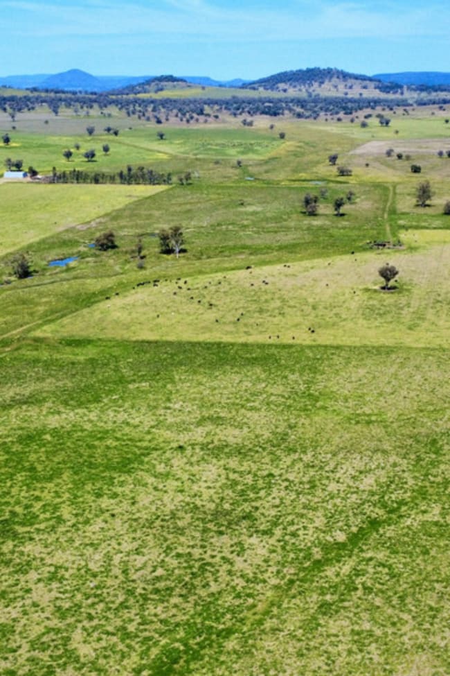 Gunnedah NSW 2380