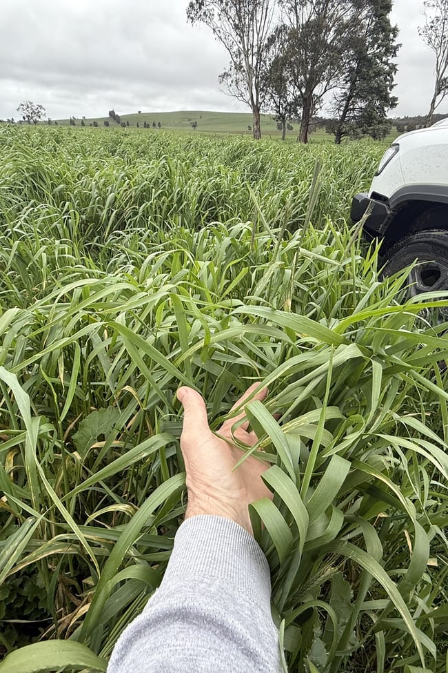 CA E SEC4, CA F SEC4 Eastern Peake Road Mount Bolton VIC 3352