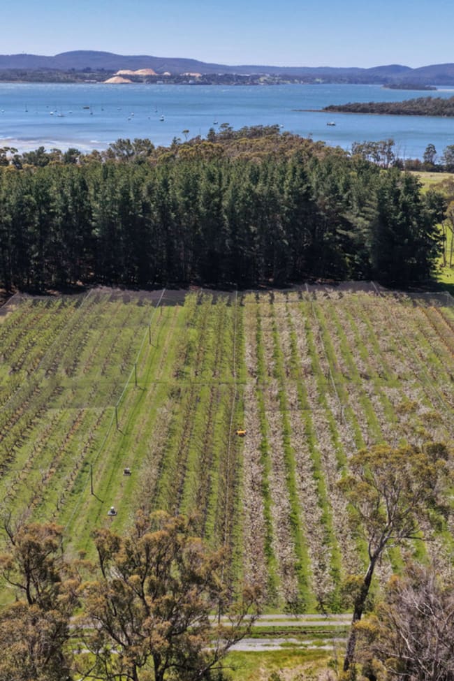 4378 West Tamar Highway Beauty Point TAS 7270