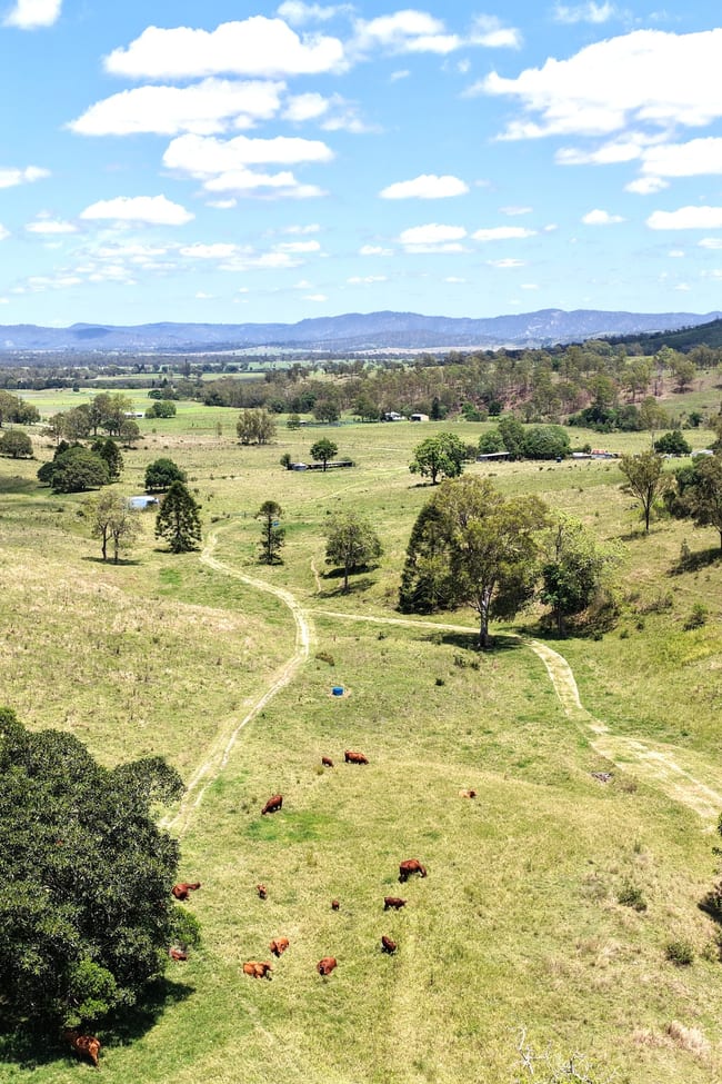 516 Scrub Creek Road Scrub Creek QLD 4313