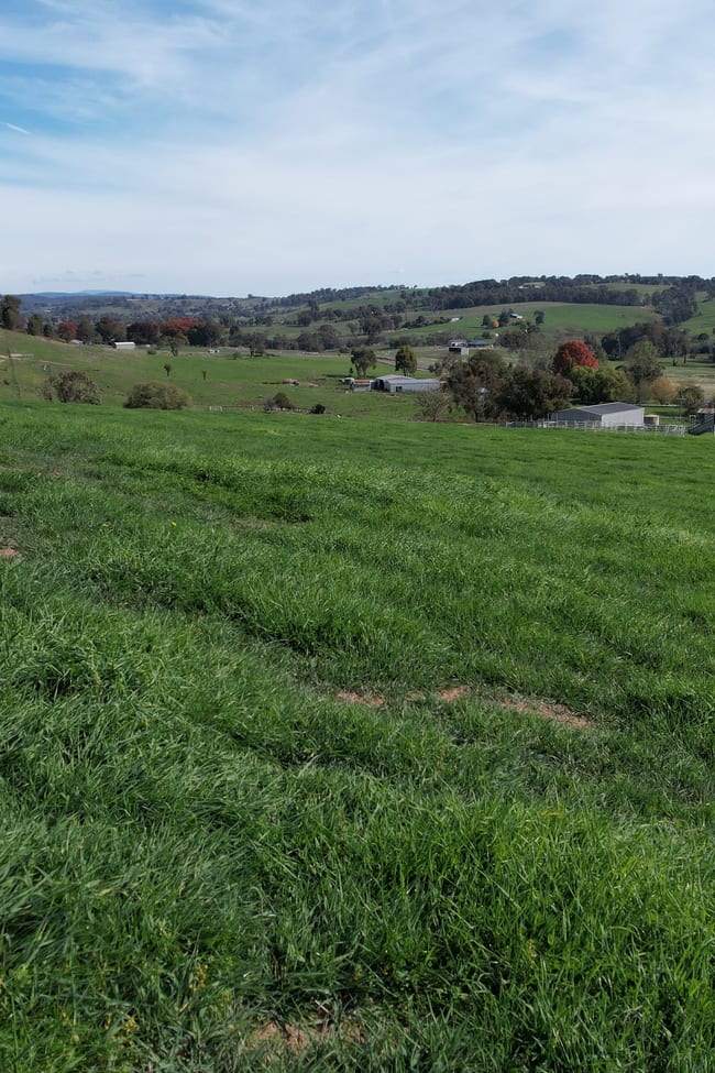 580 Batlow Road Tumbarumba NSW 2653
