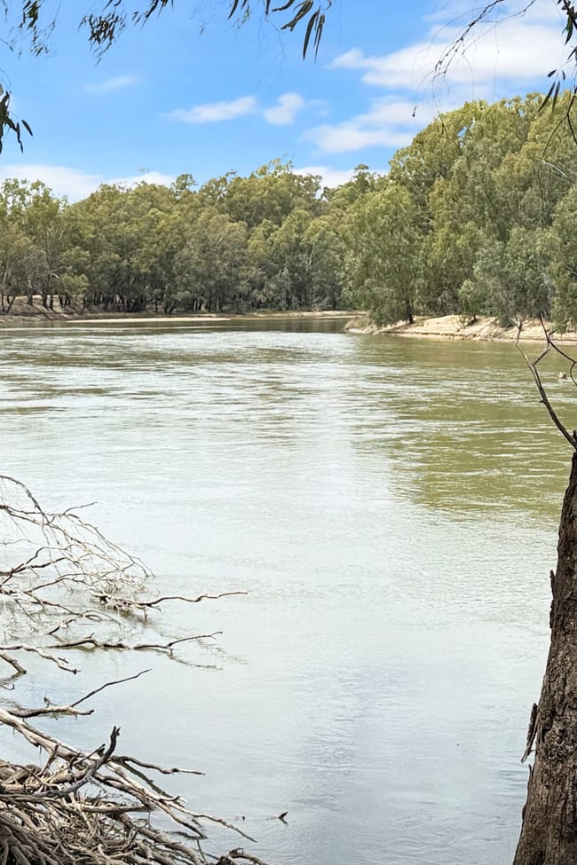 116 Woolscour Road Narrandera NSW 2700