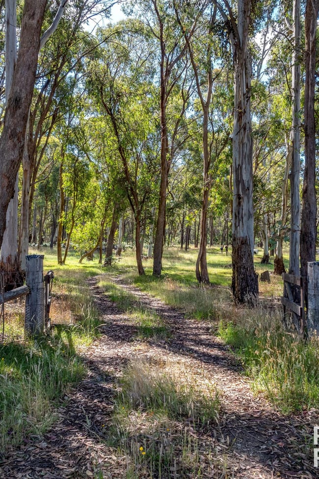 1739 Bigga Road Bigga NSW 2583