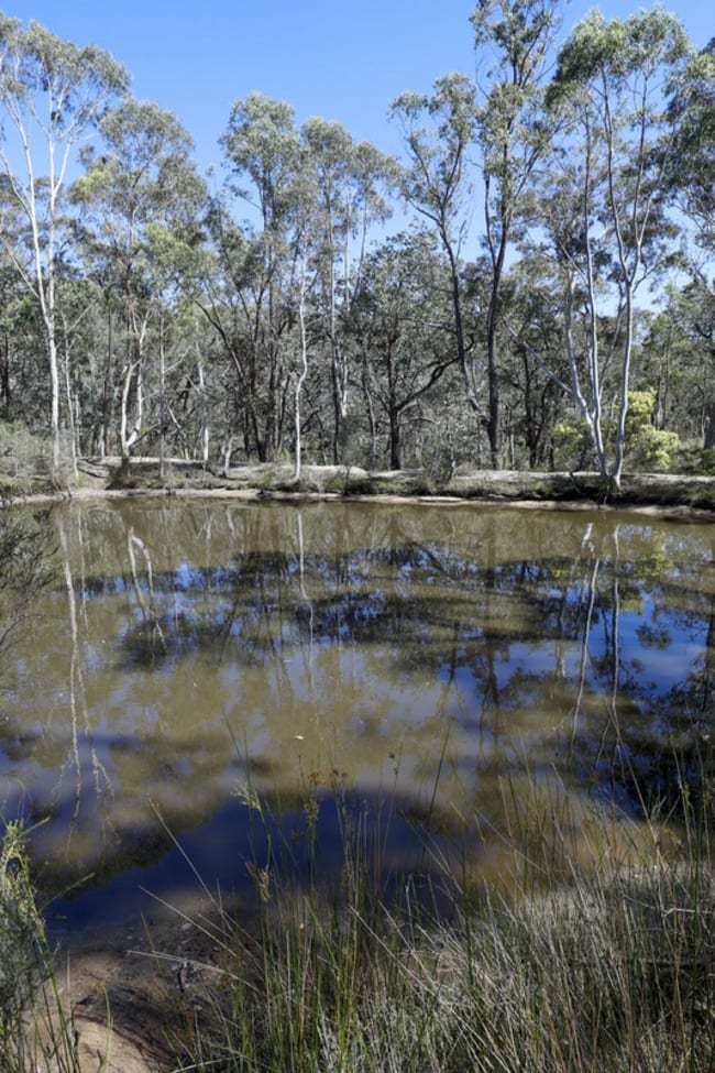 494 Jerralong Road Oallen NSW 2622