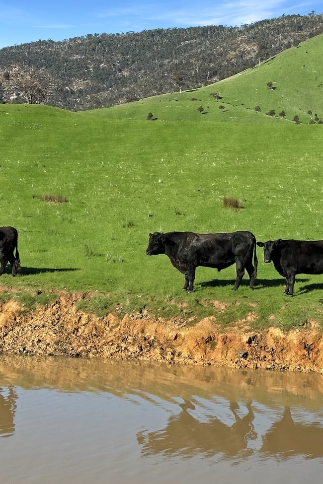 LOT 2 ON PS716983N L J DAWSON ROAD Elmhurst VIC 3469