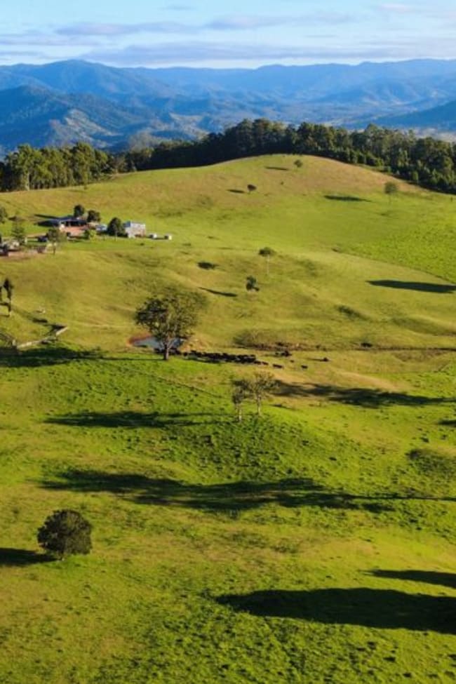 669 Costigans Road Yarras NSW 2446