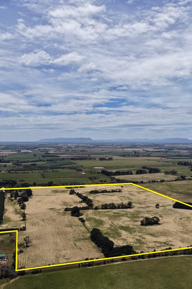 440 Hamilton-Chatsworth Road Tarrington VIC 3301
