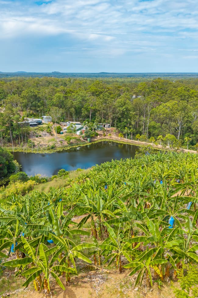 349 Jackson Road Wamuran QLD 4512