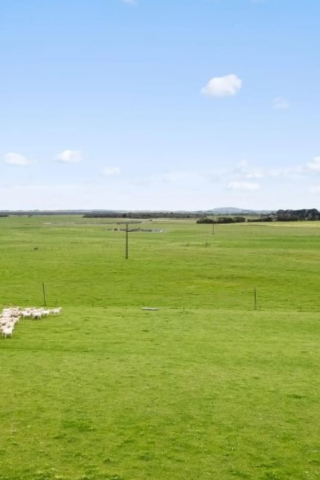 687 Mount Salt Road Mount Schank SA 5291