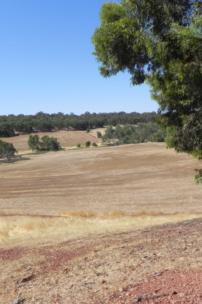 3145 Bindoon-Dewars Pool Road Bindoon WA 6502