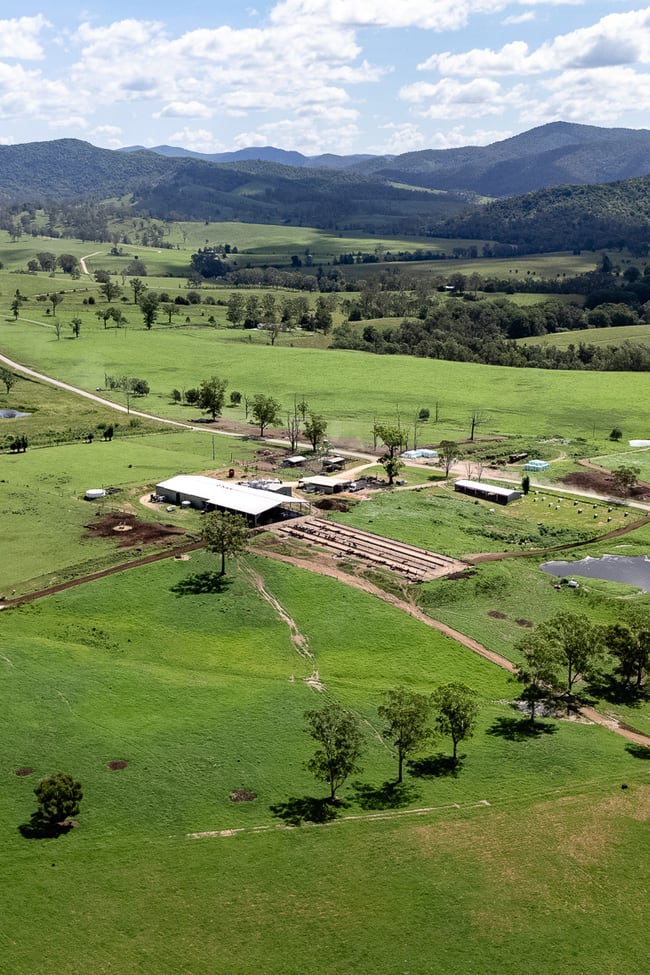 846 Toms Creek Road Ellenborough NSW 2446
