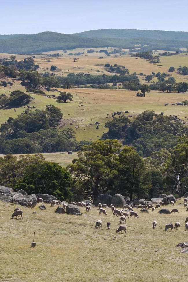 995 Lancefield-Pyalong Road Nulla Vale VIC 3435