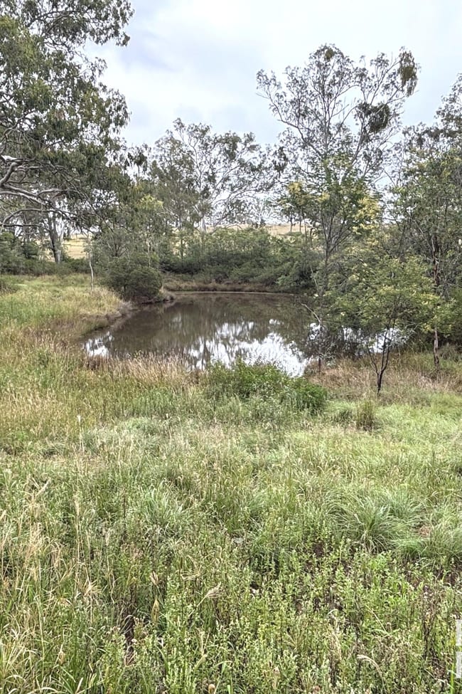 Lot 264 Kunioon Road Kunioon QLD 4615