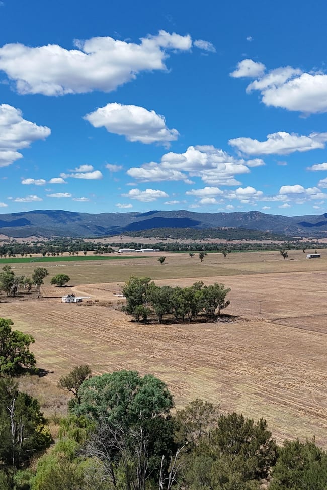 37 Evans Lane Tamworth NSW 2340