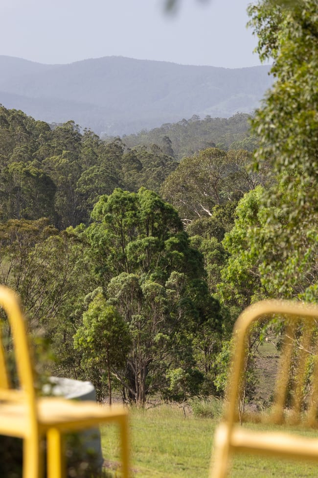 97 Bulby Close Wang Wauk NSW 2423