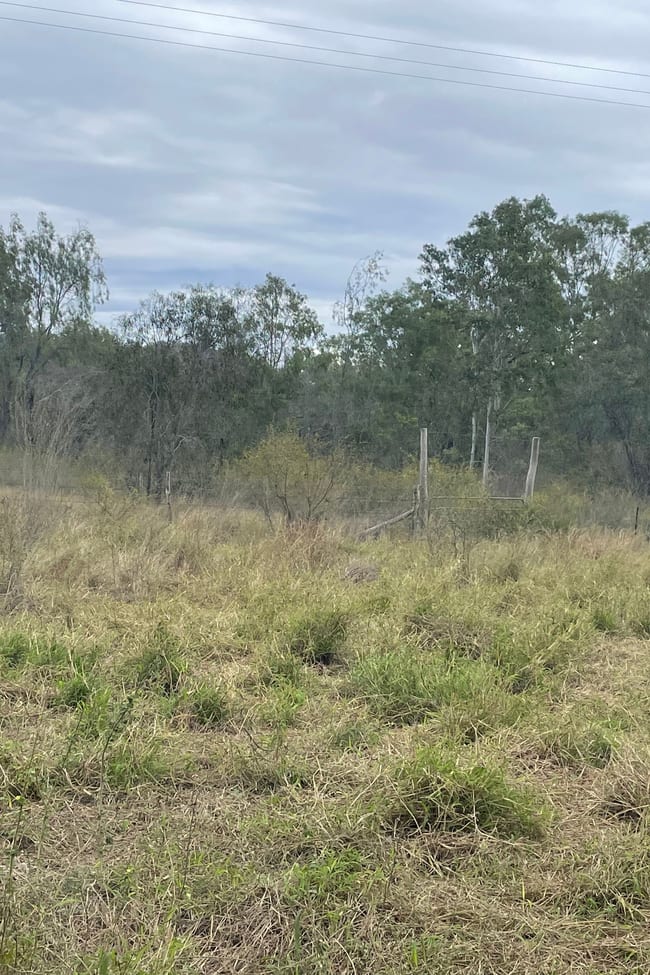 33 Little Road Westwood QLD 4702