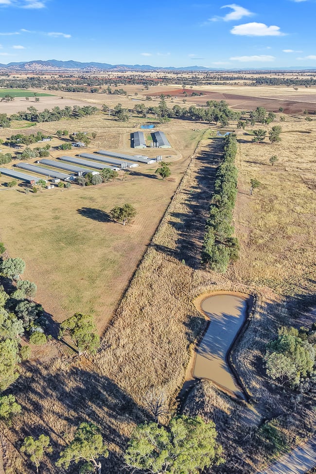 231 Duri-Dungowan Road Duri NSW 2344 231 Duri-Dungowan Road Duri NSW 2344