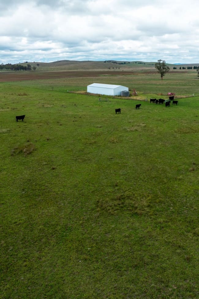 1706 Braidwood Road Tarago NSW 2580 1706 Braidwood Road Tarago NSW 2580