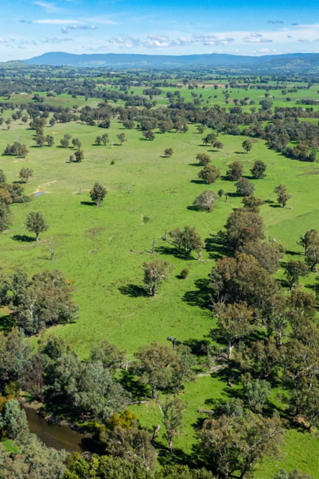 1007 & 1007A Kiewa Valley Highway Staghorn Flat VIC 3691