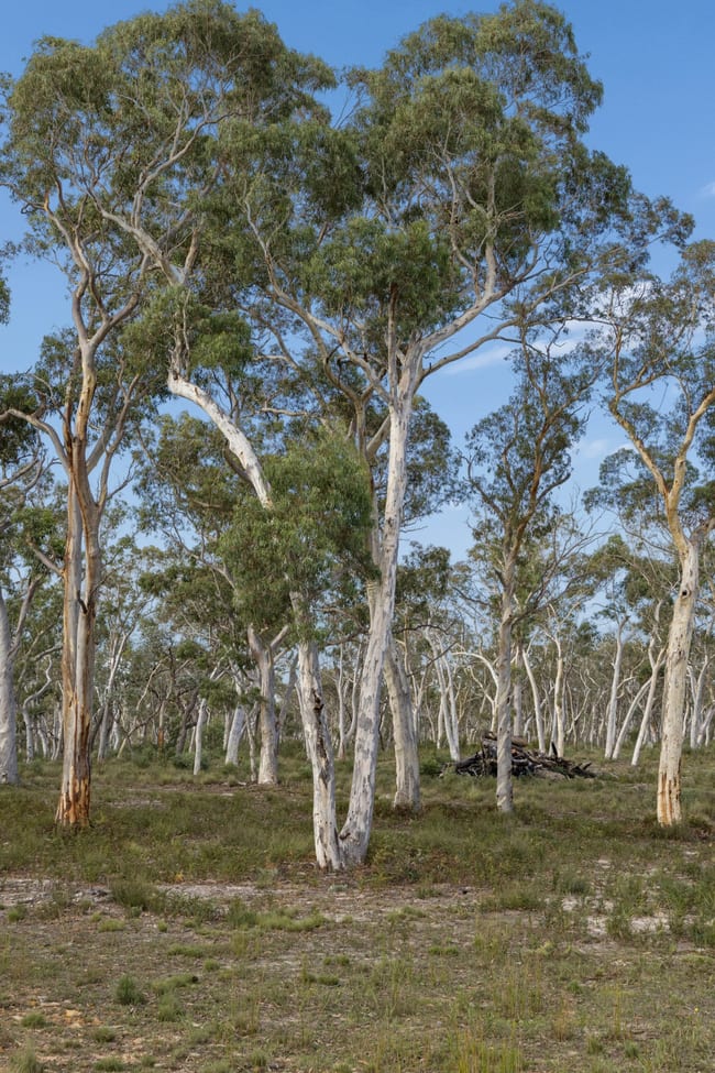 328 Wolgon Rd Windellama NSW 2580