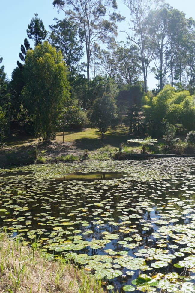 619 Bulldog Road Bulldog NSW 2469