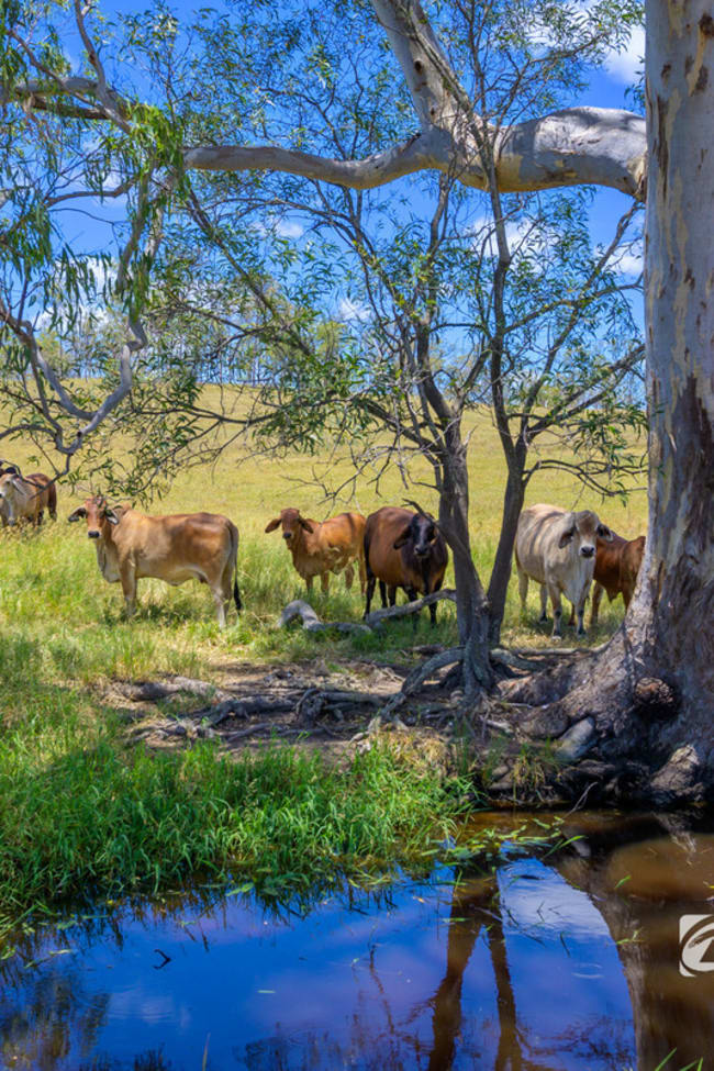 1/ Stebhens Road Bungadoo QLD 4671 1/ Stebhens Road Bungadoo QLD 4671