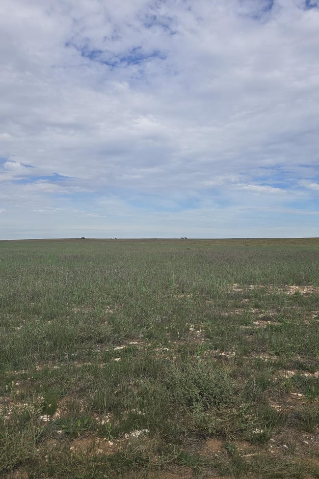 942 Baumgurtel Road Wynarka SA 5306