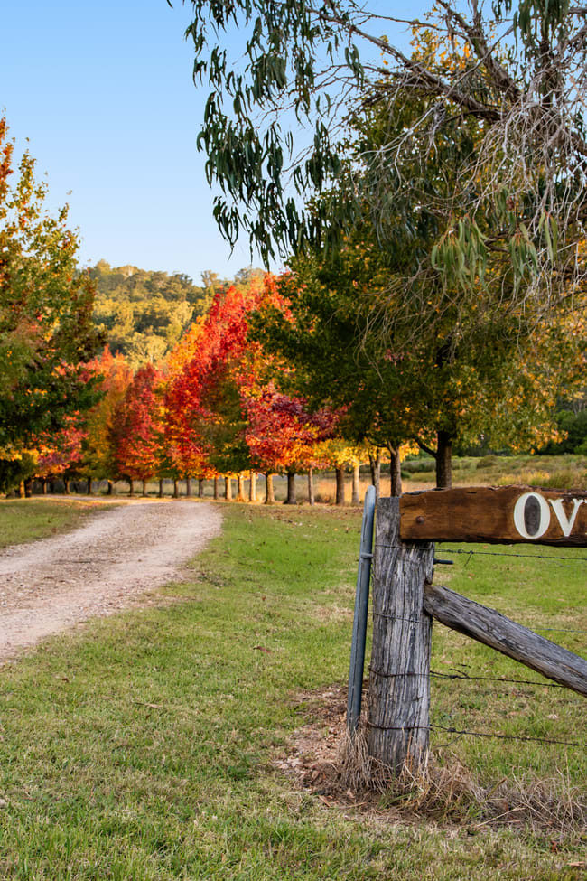 "Overberg" 3697 Esk Hampton Road Ravensbourne QLD 4352