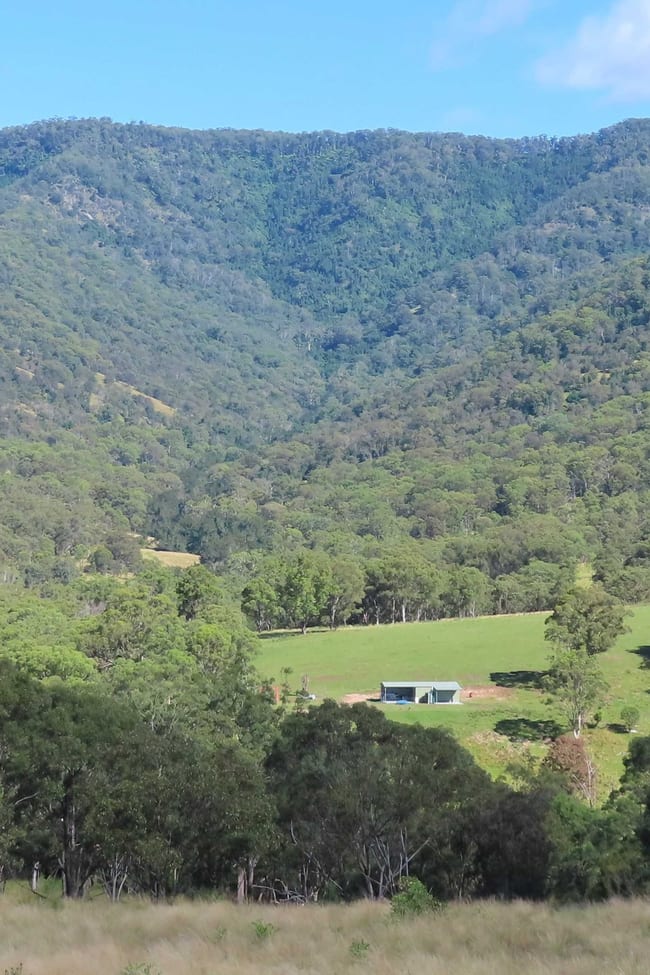 1060 Dry Creek Rd Scone NSW 2337