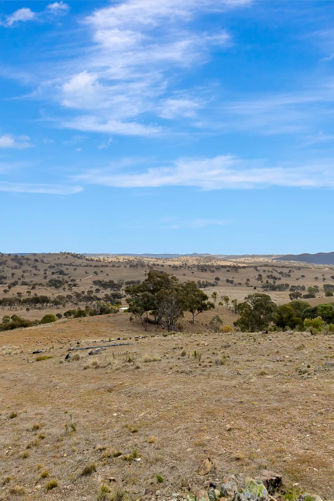 1887 Queens Pinch Road Mudgee NSW 2850