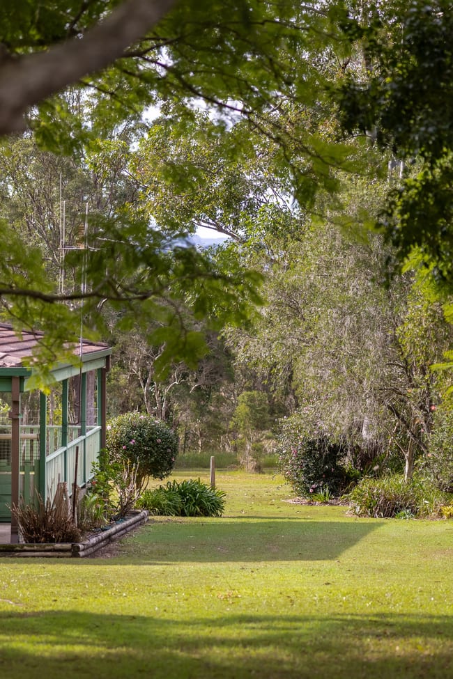 46 Mooral Creek Road Cedar Party NSW 2429