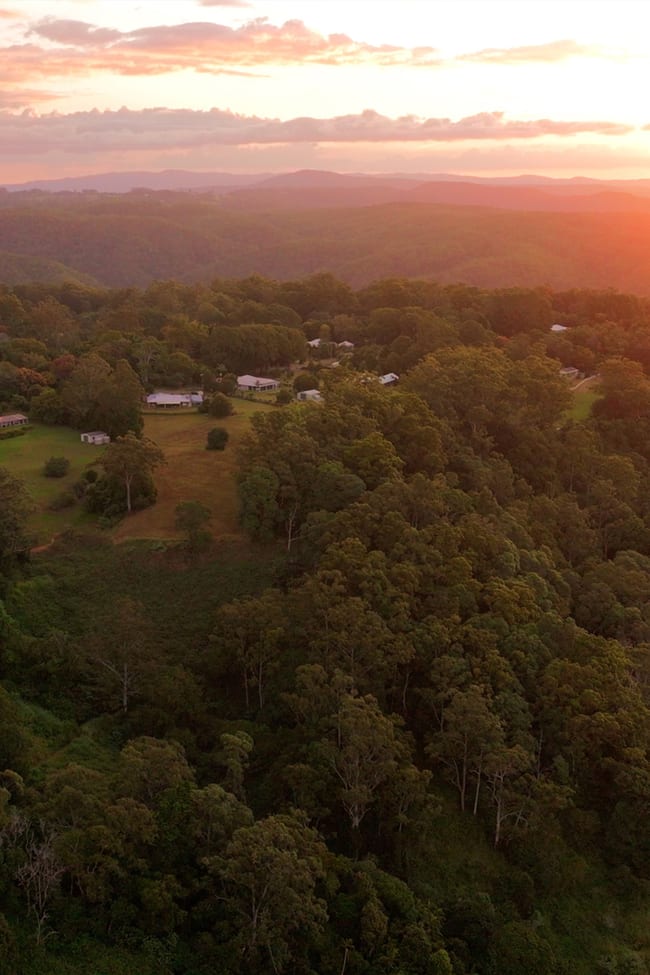 353 Western Avenue Montville QLD 4560