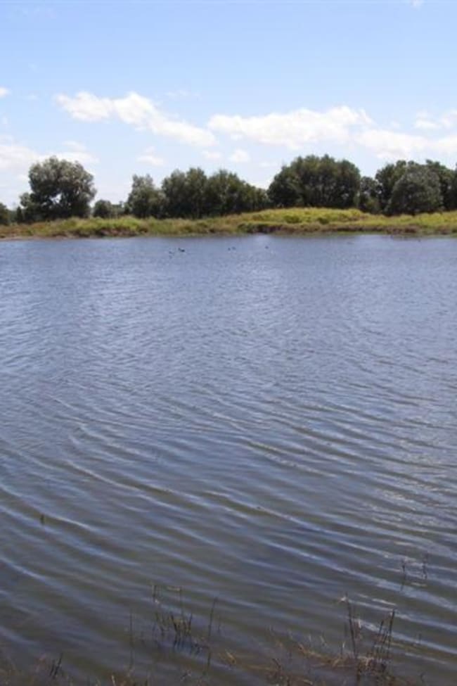11 Valentine Plains Road Biloela QLD 4715 11 Valentine Plains Road Biloela QLD 4715