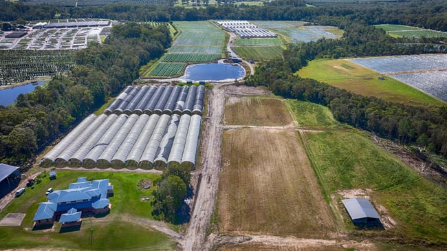 136 Mansfield Road Elimbah QLD 4516 136 Mansfield Road Elimbah QLD 4516