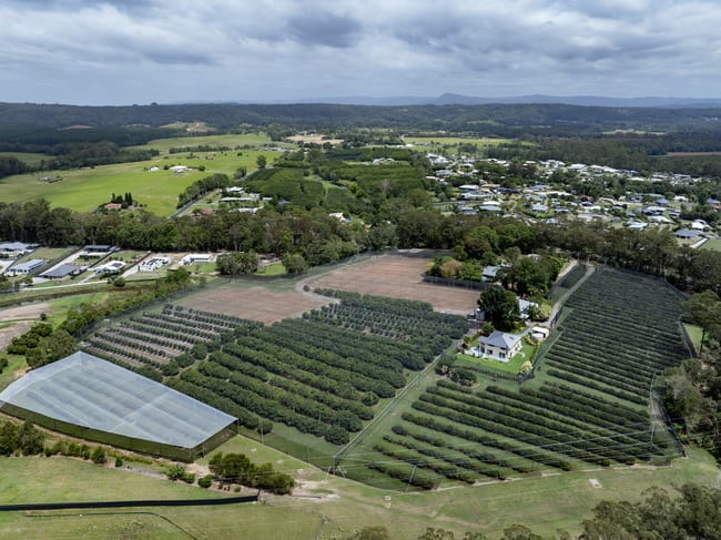 2598 Old Gympie Road Beerwah QLD 4519 2598 Old Gympie Road Beerwah QLD 4519