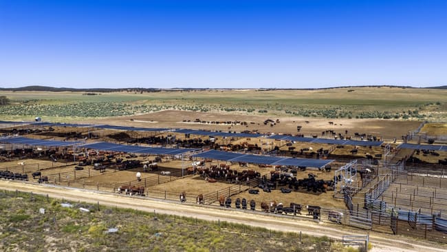 1156 Parrakie North Road Lameroo SA 5302 1156 Parrakie North Road Lameroo SA 5302