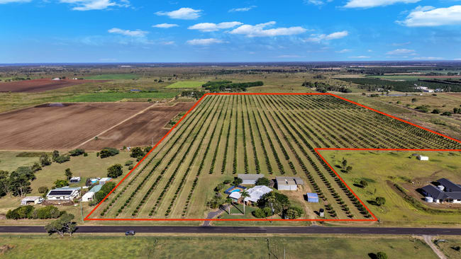 233 Back Springfield Road Woongarra QLD 4670