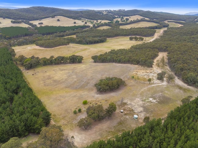 1446 Four Mile Lane Little Billabong NSW 2644 1446 Four Mile Lane Little Billabong NSW 2644