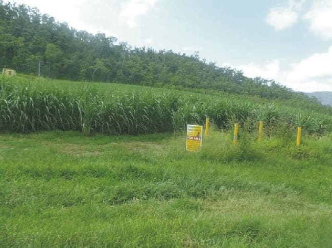 Lot 13 Stone River Road Upper Stone QLD 4850 Lot 13 Stone River Road Upper Stone QLD 4850