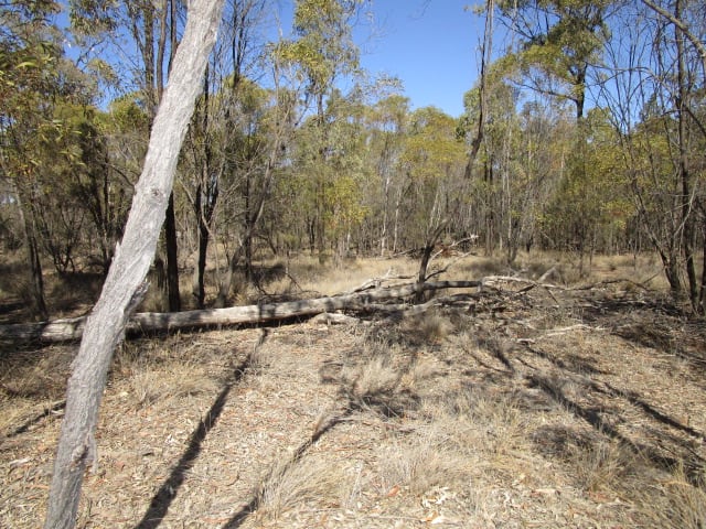 Lot 140 Lucky Road Tara QLD 4421 Lot 140 Lucky Road Tara QLD 4421