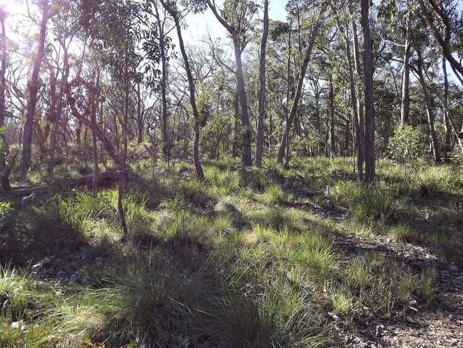 1527 New England Highway Dundee NSW 2370 1527 New England Highway Dundee NSW 2370