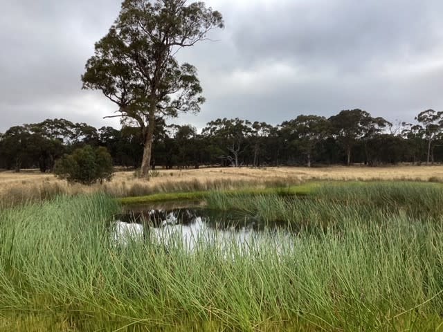 Lot 2 Eurambeen-Raglan Road Beaufort VIC 3373 Lot 2 Eurambeen-Raglan Road Beaufort VIC 3373