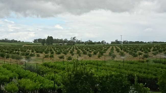 Gregory River QLD 4660